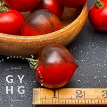 Load image into Gallery viewer, Heaven Oregon Heirloom Tomato Seeds