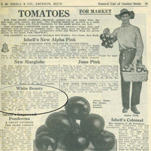 Load image into Gallery viewer, 1927 Isbell Seed Catalog page 65 featuring description of White Beauty Tomato. Touted as low acid.