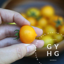 Load image into Gallery viewer, Aztec Micro Dwarf Cherry Tomato Yellow or also known as Tiny Tomatoes Determinate Variety