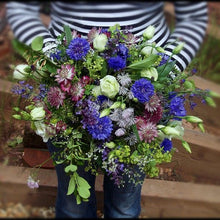 Load image into Gallery viewer, Bachelor Button Blue Boy shown mixed with other flowers in a floral bouquet