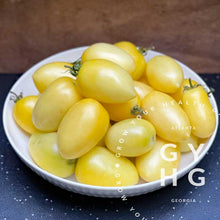 Load image into Gallery viewer, Cream Sausage (aka: Banana Cream) Tom Wagner Paste Plum Slicer Variety