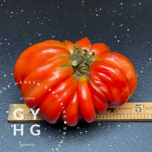 Load image into Gallery viewer, Beauty Lottringa Heirloom Tomato