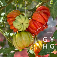 Load image into Gallery viewer, Beauty Lottringa Heirloom Tomato on the Vine