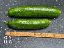 Load image into Gallery viewer, Beit Alpha Cucumber Seeds (Great for Pickling!)
