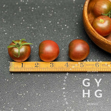 Load image into Gallery viewer, Black Cherry Heirloom Tomato size comparison against ruler
