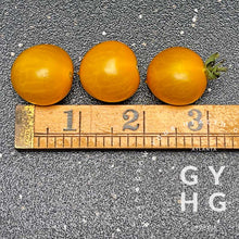 Load image into Gallery viewer, Blondkopfchen Yellow Heirloom Cherry Tomato Seeds for Sale Size Comparison