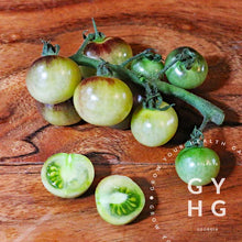 Load image into Gallery viewer, Blue Cream Berries Hydroponic Adapted Seed for Sale