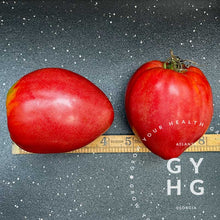 Load image into Gallery viewer, Cancelmo Family Heirloom Paste Red Tomato Size Comparison 4" - 5" inches in length and 3" - 4" in width