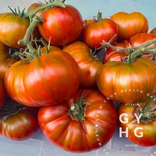 Load image into Gallery viewer, Chocolate Stripes Tomato Seeds
