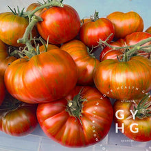 Load image into Gallery viewer, Chocolate Stripes Tomato Seeds