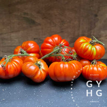 Load image into Gallery viewer, Costoluto Genovese Italian Ruffled Tomato Hydroponic Adapted Seed for Sale