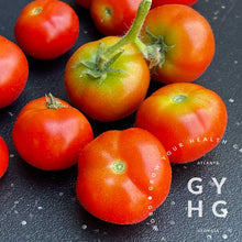 Load image into Gallery viewer, Florida Petite Micro Dwarf Cherry Tomato Hydroponic Seeds
