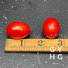 Load image into Gallery viewer, Hardin's Miniature Dwarf Red Cherry Tomato Seeds