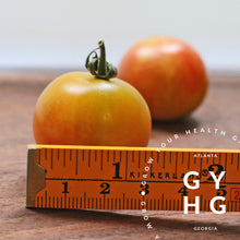 Load image into Gallery viewer, It's Like ISIS Candy Cherry Tomato Seeds Size Comparison