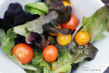 Load image into Gallery viewer, Birdie Rouge Microdwarf Tomato Seeds for Sale Hydroponic Adapted on salad