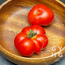 Load image into Gallery viewer, Nostrano Grasso Italian Tomato rare seed in America / United States