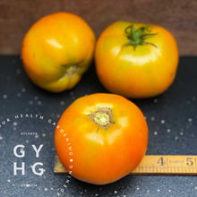 Load image into Gallery viewer, Olga's Round Chicken Size Comparison showing average 3.5" on average