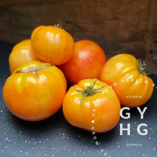 Load image into Gallery viewer, Orange Orangutan Tomato Slicing Variety