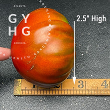 Load image into Gallery viewer, Paul Robeson Tomato is about 2.5" high