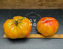 Load image into Gallery viewer, Pineapple Tomato a great slicer size comparison