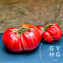 Load image into Gallery viewer, Pomodoro Farina Gigante Tomato Seed from Italy record holder and creator Mr. Remo Farina.