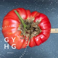 Load image into Gallery viewer, Pomodoro Farina Gigante Tomato Seed 7 inches in diameter