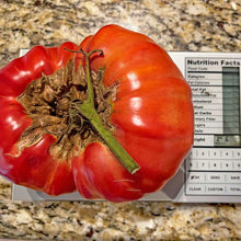 Load image into Gallery viewer, Pomodoro Farina Gigante Tomato Seed weighing in at 2 lbs 6 oz