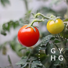 Load image into Gallery viewer, Red Robin Micro Dwarf Cherry Tomato