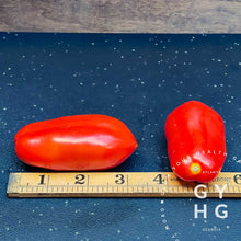 Load image into Gallery viewer, San Marzano Italian Tomato Paste Size Comparison