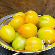 Load image into Gallery viewer, Téton de Vénus Jaune Italian Heirloom Tomato Seeds (Rare)