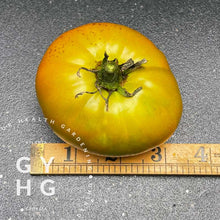 Load image into Gallery viewer, Thornburns  Heirloom Terra Cotta Tomato Size Comparison for seed