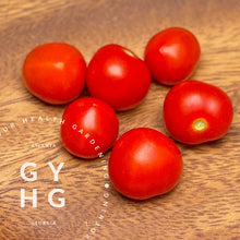 Load image into Gallery viewer, Tom Thumb Microdwarf Cherry Tomatoes for hydroponic Aerogarden and Tower Garden  - Tomato seed for sale vertical growing systems