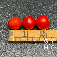 Load image into Gallery viewer, Tom Thumb Microdwarf Cherry Tomatoes for hydroponic Aerogarden and Tower Garden size comparison