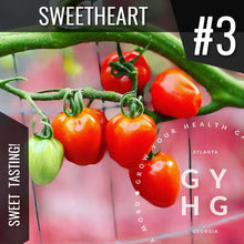Load image into Gallery viewer, Gardener's Sweetheart Cherry Tomato Seeds (Sweet Tasting!)