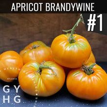 Load image into Gallery viewer, Apricot Brandywine our number one producing tomato from 2021