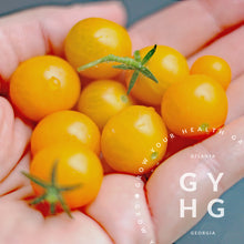 Load image into Gallery viewer, Venus Micro-dwarf Yellow Cherry Tomato
