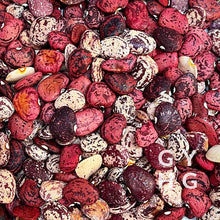 Load image into Gallery viewer, Violet’s Multi-Colored Butterbean Lima Bean (Pole)