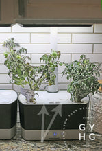 Load image into Gallery viewer, Aerogarden 6-port Covers White Shown on Aerogarden