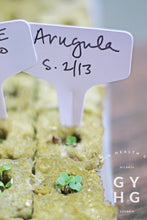 Load image into Gallery viewer, Arugula Greens Heirloom Hydroponic Seeds