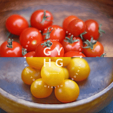 Load image into Gallery viewer, Can't decide which one to buy? Try both! Save some money when you purchase Birdie Rouge and Birdie Jaune Cherry Micro Dwarf Tomato Sampler