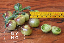 Load image into Gallery viewer, Size Comparison Blue Cream Berries Cherry Tomato Heirloom Seed