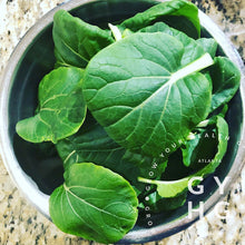 Load image into Gallery viewer, Bok Choy harvested in stainless steel bowl ready for stir fry