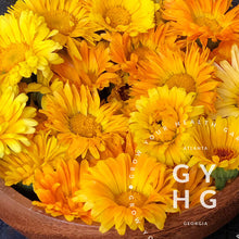 Load image into Gallery viewer, Calendula Medicinal Plant good for skin hydroponic grown seed for sale
