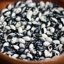 Load image into Gallery viewer, Calipso Bean grown in soil Heirloom Calypso Rare Seed for Sale