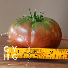 Load image into Gallery viewer, Cherokee Purple Heirloom Tomato Size Comparison
