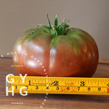 Load image into Gallery viewer, Cherokee Purple Heirloom Tomato Size Comparison
