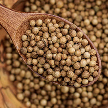 Load image into Gallery viewer, Cilantro (Coriander) Slow Bolt Heirloom Herbs Seeds