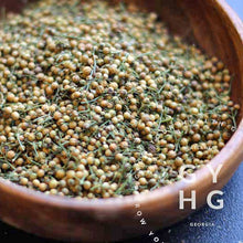 Load image into Gallery viewer, Coriander Cilantro Heirloom Herb Seed Hydroponic Seed for Sale