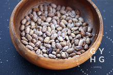 Load image into Gallery viewer, Dragon Tongue Heirloom Beans in a bowl