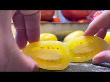 Load and play video in Gallery viewer, Cream Sausage (aka: Banana Cream) is a Tom Wagner Variety and fits a number of categories as a paste, plum and slicing variety being sliced open so you can see what it looks like inside